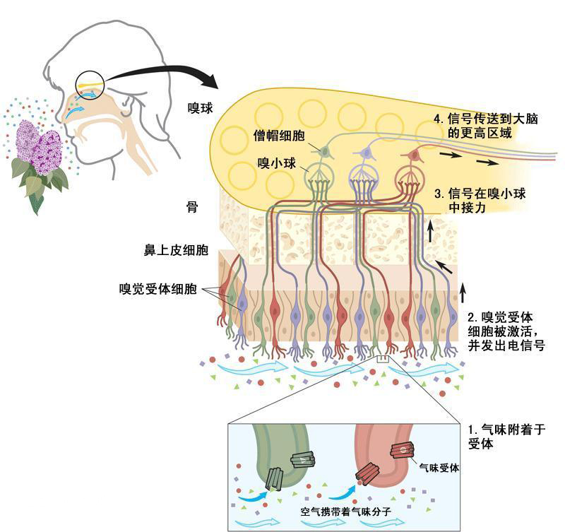 恶臭电子鼻系统